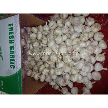 Hot Sale 2020 Normal White Garlic